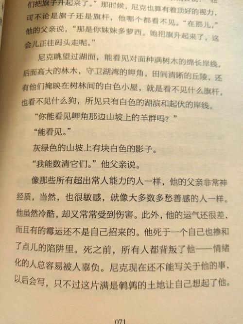 乞力马扎罗的雪,乞力马扎罗的雪讲的什么内容