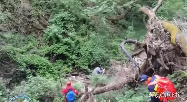 客户服务 第6页