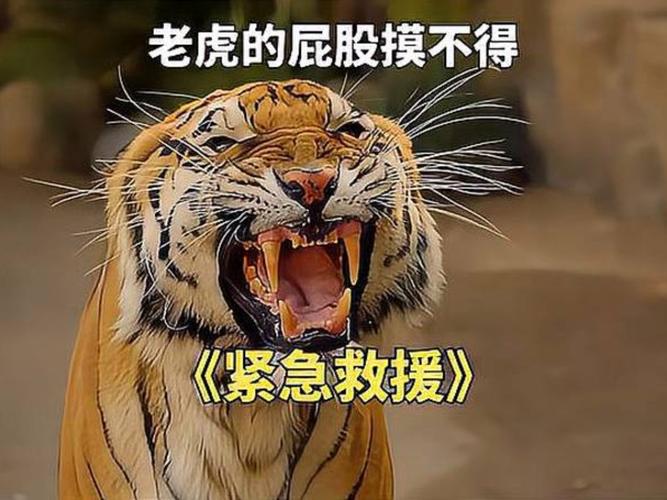 admin 第32页